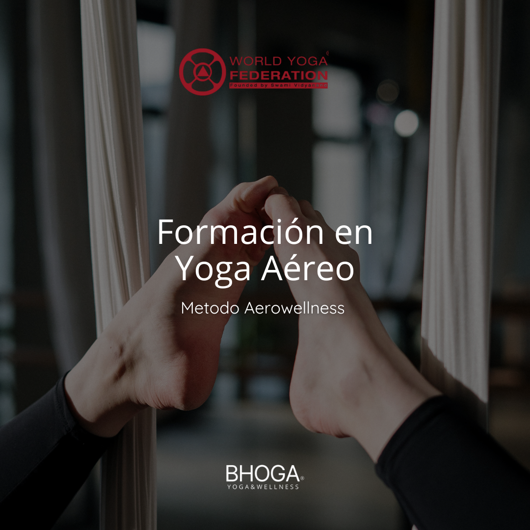 Formacion en Yoga Aereo Metodo Aerowellness